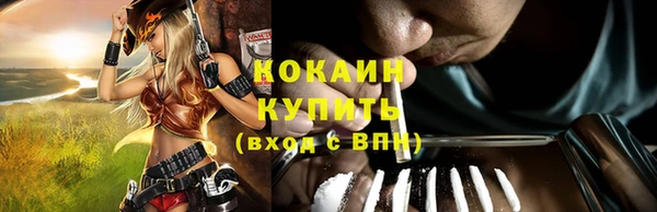 стафф Богородицк