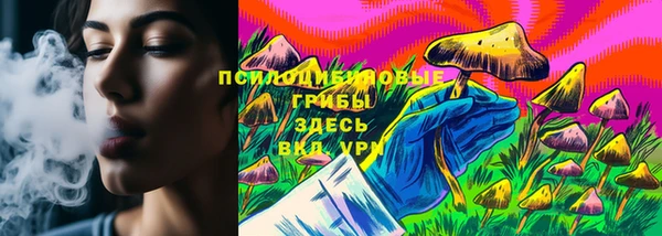 соль курить ск Богородск