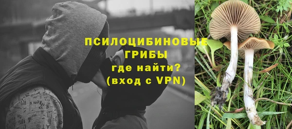 стафф Богородицк
